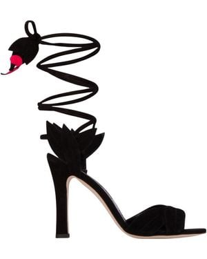 Manolo Blahnik Heel Shoes - Black