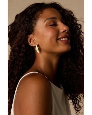 Lulus Amati Fringe Stud Earrings - Brown
