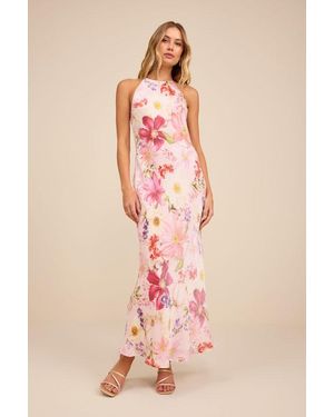 dezzi blush multi floral halter shift maxi dress Petal and Pup Women's Lovett Maxi Halter Dress main image 1