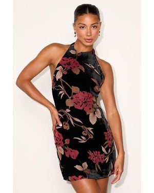 Lulus Delizah Floral Burnout Halter Mini Dress - Black