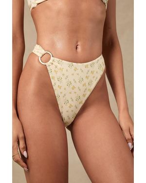 Dippin' Daisy's Dive - Brown