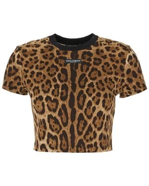Dolce & Gabbana Dolce&Gabbana Clothing T-Shirt - Brown