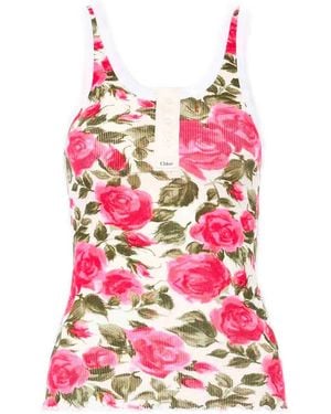 Chloé Top - Pink