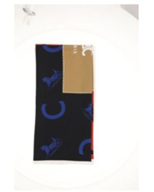 Celine Printed Silk Foulard - Blue