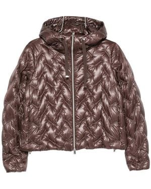 Herno Jackets - Brown