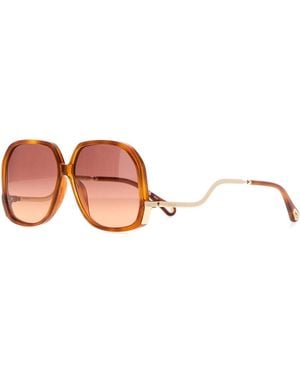 Chloé Printed Acetate Sunglasses - Pink