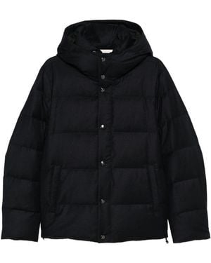 Montecore Jackets - Black
