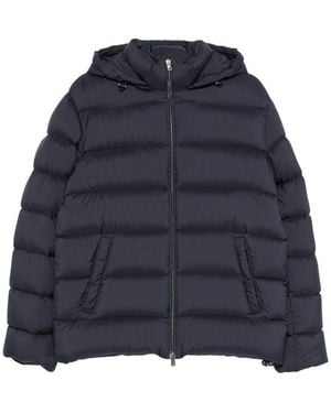 Herno Jackets - Blue