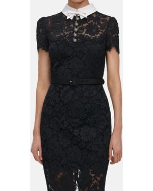 Self-Portrait Lace Contrast Collar Midi Dress - Black