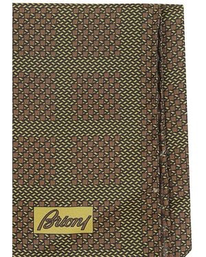 Brioni Scarves - Multicolor