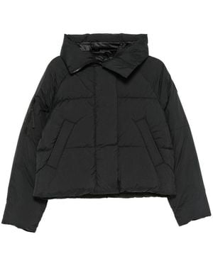 Canada Goose Jackets - Black