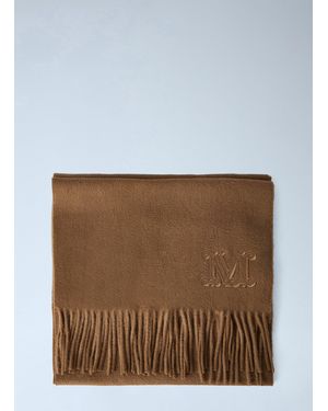 Max Mara Embroidered Fringe Wool Scarf - Brown