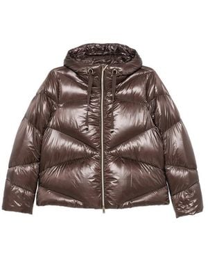 Herno Jackets - Brown