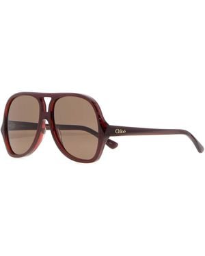 Chloé Burgundy Acetate Salome Sunglasses - Brown