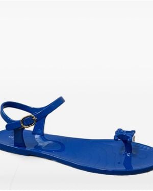 Celine Jelly Thong Sandals - Blue