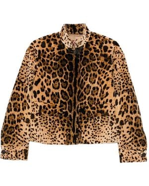 Max Mara Printed Cotton Blouson Jacket - Brown