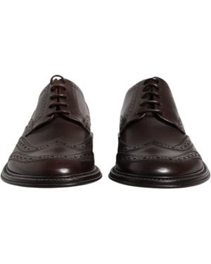 Dolce & Gabbana Business Shoes - Brown