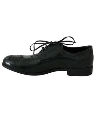 Dolce & Gabbana Leather Broque Oxford Wingtip Shoes - Black