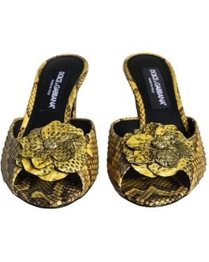 Dolce & Gabbana Leather Block Heels Slides Shoes Python - Yellow