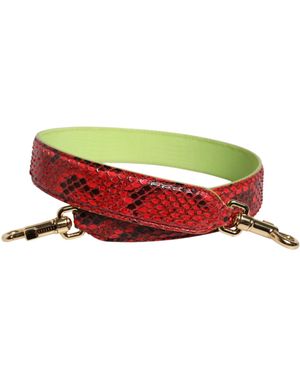 Dolce & Gabbana Red Exotic Leather Handbag Accessory Shoulder Strap - Green