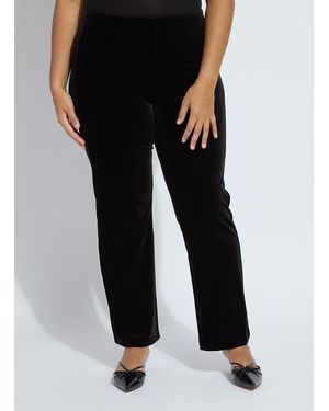Lyssé Velvet Pant Curvy - Black