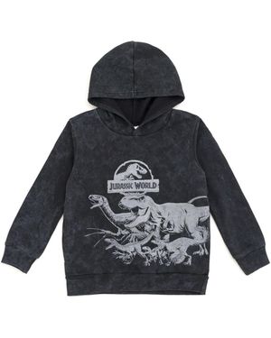 Jurassic Park Jurassic World Boys Dinosaur T-rex Fleece Pullover Hoodie To - Blue
