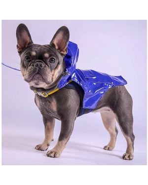 Tommy Bahama Pet Raincoat Apparel Harness Blue S - Purple