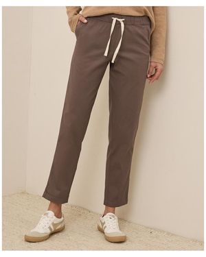 Pact Organic Cotton Daily Twill Pant - Brown