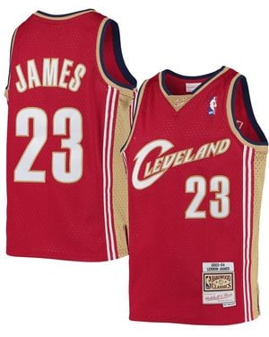 Mitchell & Ness Big Boys And Girls Lebron James Wine Cleveland Cavaliers 2003-04 Hardwood Classics Swingman Jersey - Red