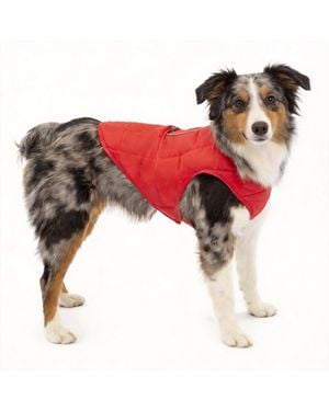 Aronkl Loft Dog Jacket: Insulated - Red