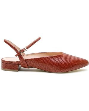 Alterre Amal Customizable Point Slide - Brown