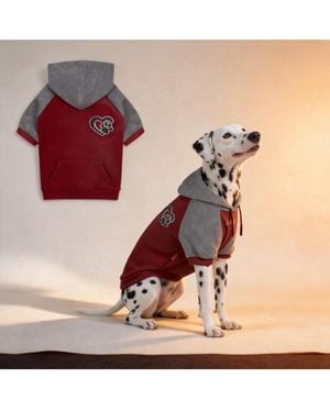 Aronkl Dog Hoodie Stretchy Warm Pet Sweatshirt - Red