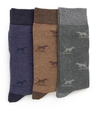 Rodd & Gunn Dogs-a-plenty Three Pack Socks - Multicolor