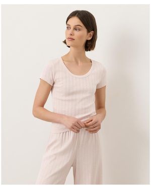 Pact Organic Cotton Pointelle Scoop Neck Tee - Multicolor
