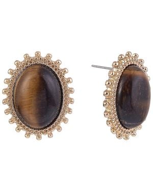 Rachel Roy Gold Tone Tiger Eye Oval Button Earrings - Brown