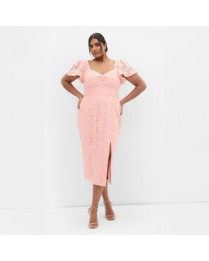 City Chic Plus Size Maisie Lace Midi Dress - Pink