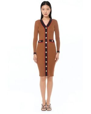 Alexia Admor Janet Dress - Brown