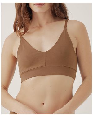 Pact Plus Size Cotton Everyday Classic T-shirt Bra - Brown