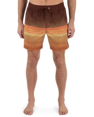 Hurley Cannonball Volley Boardshorts - Brown