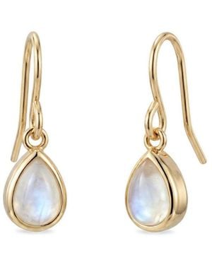 Adornia Fine 14k Plated Pear Drop Moonstone Earrings - Metallic