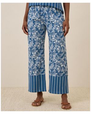 Pact Organic Cotton Staycation Sleep Pant - Blue