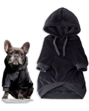 Pet Passion Cooper Ii The Velour Hoodie - Black