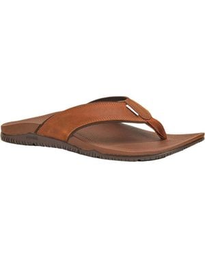 XtraTuf Auna Sandal - Brown