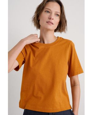 Seasalt Cornwall Copseland T-shirt - Orange