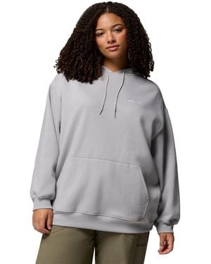 Columbia Plus Size Aldermore Kangaroo Pocket Hoodie - Gray