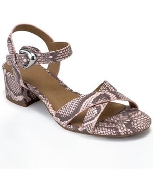 Aerosoles Cinzia Block Heel Sandals - Brown