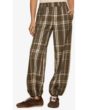 Sanctuary Micro Balloon Wide Leg Pants - Green