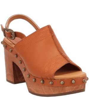 Dingo Clover Wooden Sandal - Brown