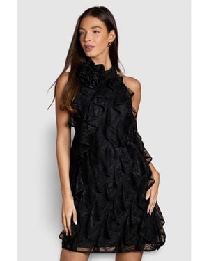 Coast Lace Frill Mini Dress - Black