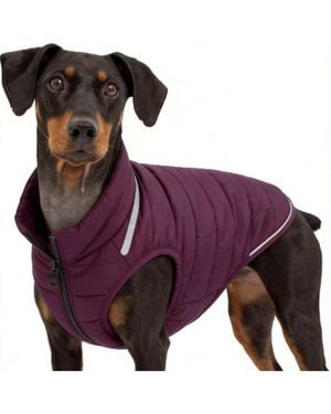 Aronkl Loft Dog Jacket: Insulated - Purple